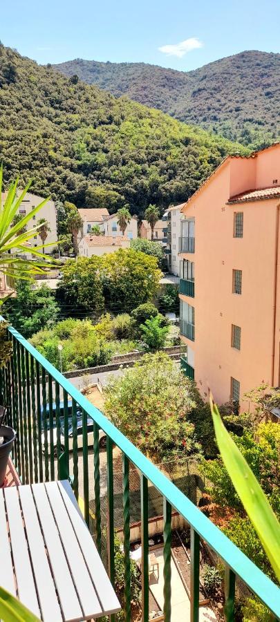 T2 Tout Confort Amélie-les-Bains-Palalda Esterno foto