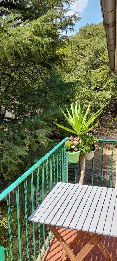 T2 Tout Confort Amélie-les-Bains-Palalda Esterno foto