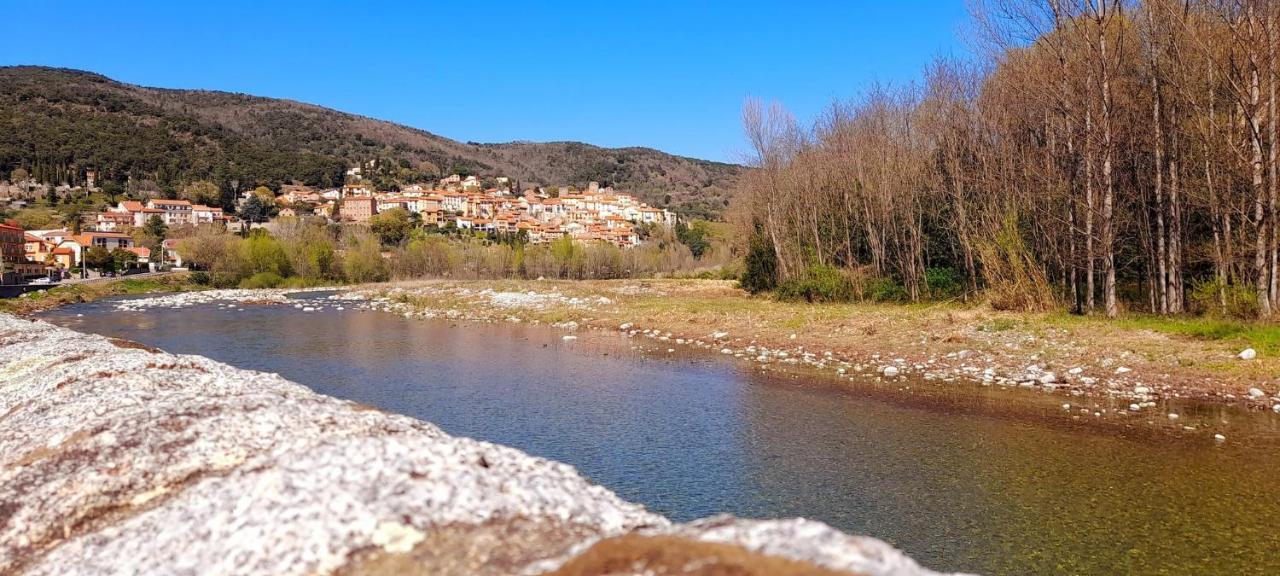 T2 Tout Confort Amélie-les-Bains-Palalda Esterno foto