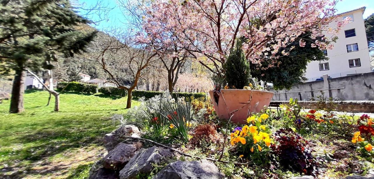 T2 Tout Confort Amélie-les-Bains-Palalda Esterno foto