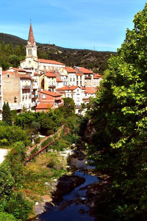 T2 Tout Confort Amélie-les-Bains-Palalda Esterno foto