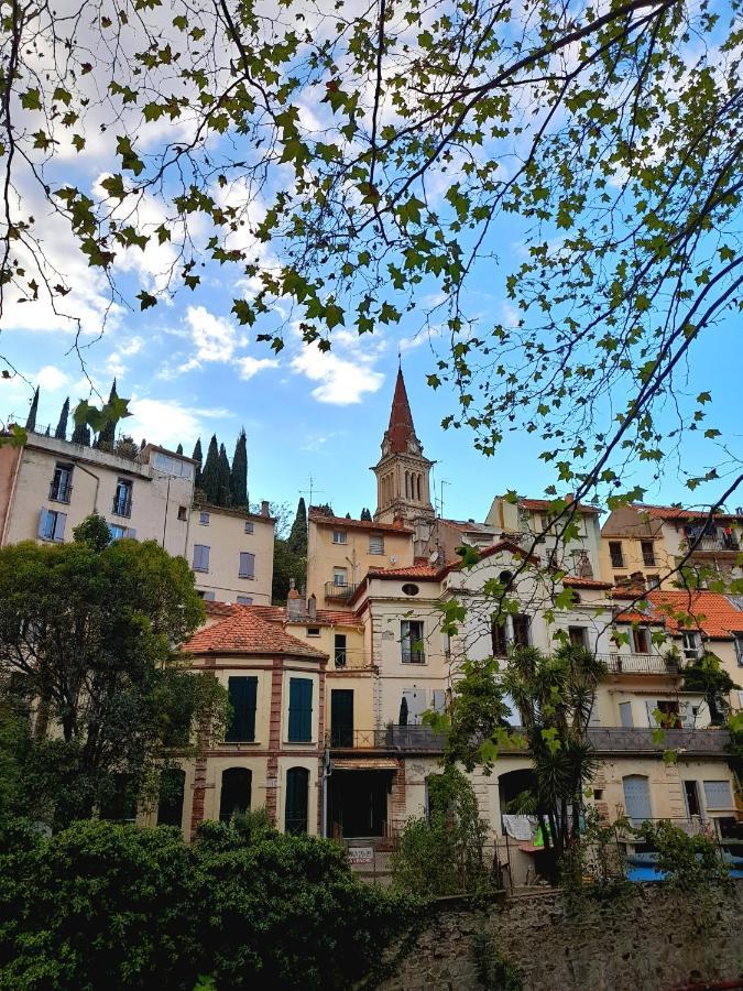 T2 Tout Confort Amélie-les-Bains-Palalda Esterno foto