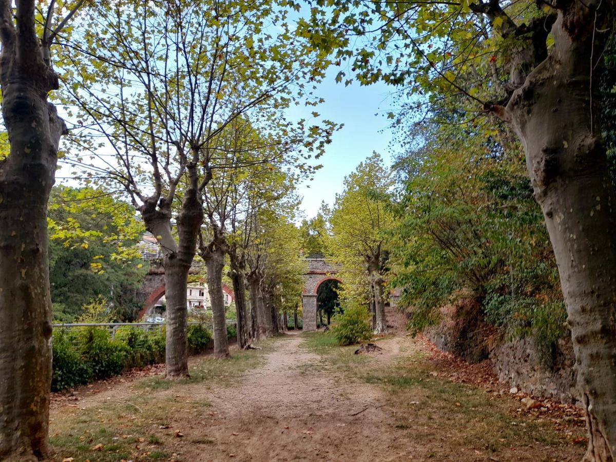 T2 Tout Confort Amélie-les-Bains-Palalda Esterno foto